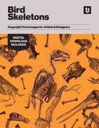 bokomslag Bird Skeletons