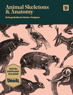 Animal Skeletons and Anatomy 1