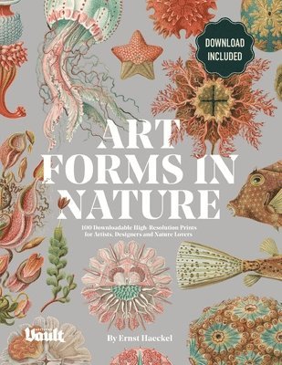 Art Forms in Nature by Ernst Haeckel 1