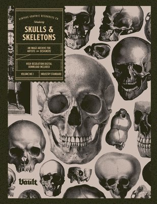 Skulls and Skeletons 1