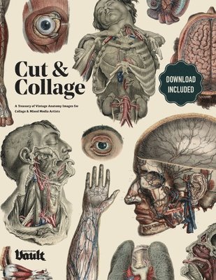 Cut and Collage A Treasury of Vintage Anatomy Images for Collage and Mixed Media Artists 1