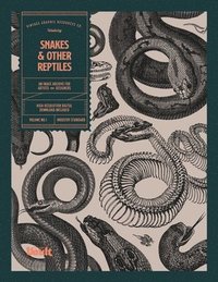 bokomslag Snakes and Other Reptiles