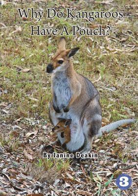Why Do Kangaroos Have A Pouch? 1