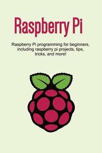 bokomslag Raspberry Pi