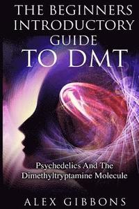 bokomslag The Beginners Introductory Guide To DMT - Psychedelics And The Dimethyltryptamine Molecule