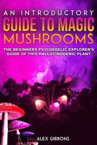 bokomslag An Introductory Guide to Magic Mushrooms