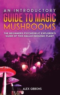 bokomslag An Introductory Guide to Magic Mushrooms