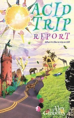 Acid Trip Report - What it's like to trip on LSD 1