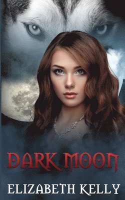 bokomslag Dark Moon