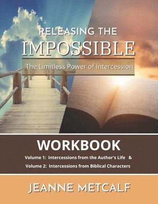 Jeanne Metcalf - Releasing the Impossible, Häftad
