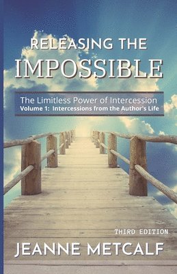 Jeanne Metcalf - Releasing the Impossible, Häftad