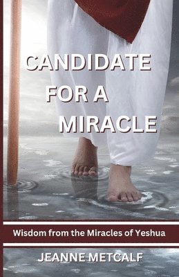 Jeanne Metcalf - Candidate for a Miracle, Häftad