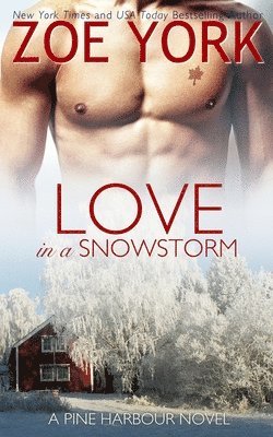 Love in a Snowstorm 1