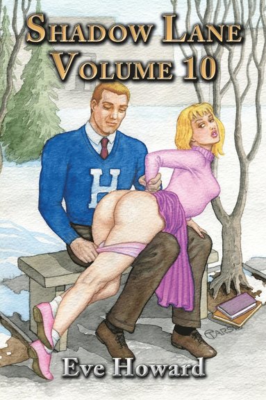 bokomslag Shadow Lane Volume 10