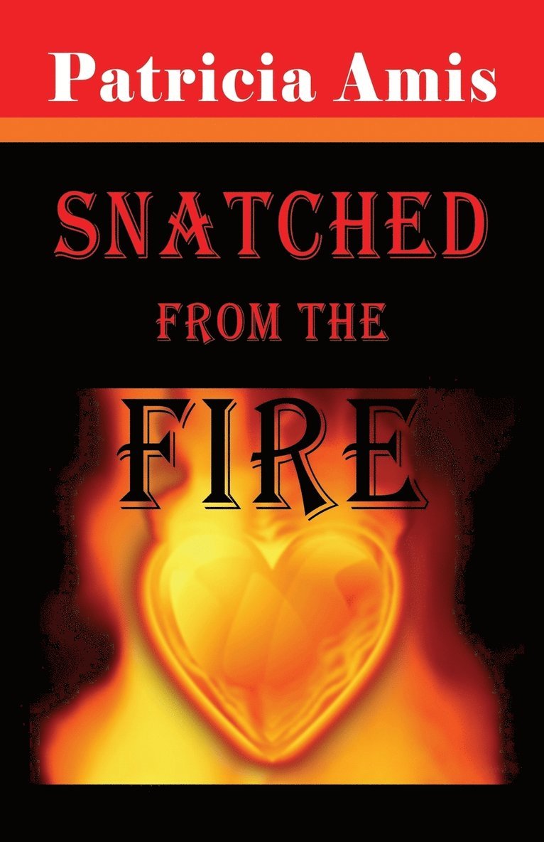 Patricia Amis - Snatched from the Fire, Häftad