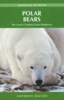 Polar Bears 1