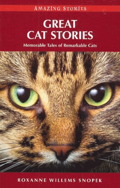 bokomslag Great Cat Stories