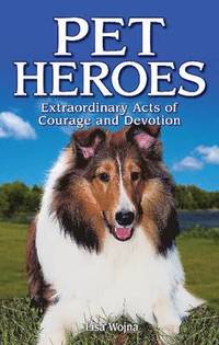 bokomslag Pet Heroes