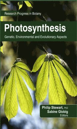 bokomslag Photosynthesis