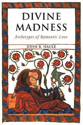 John R Haule, John R. Haule - Divine Madness, Häftad