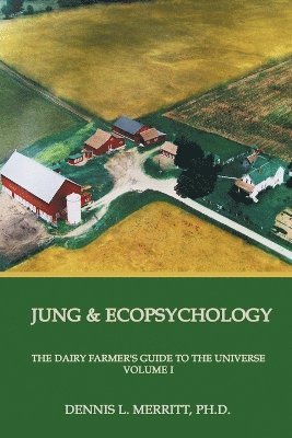 bokomslag Jung and Ecopsychology