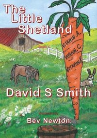 bokomslag The Little Shetland; Book 1