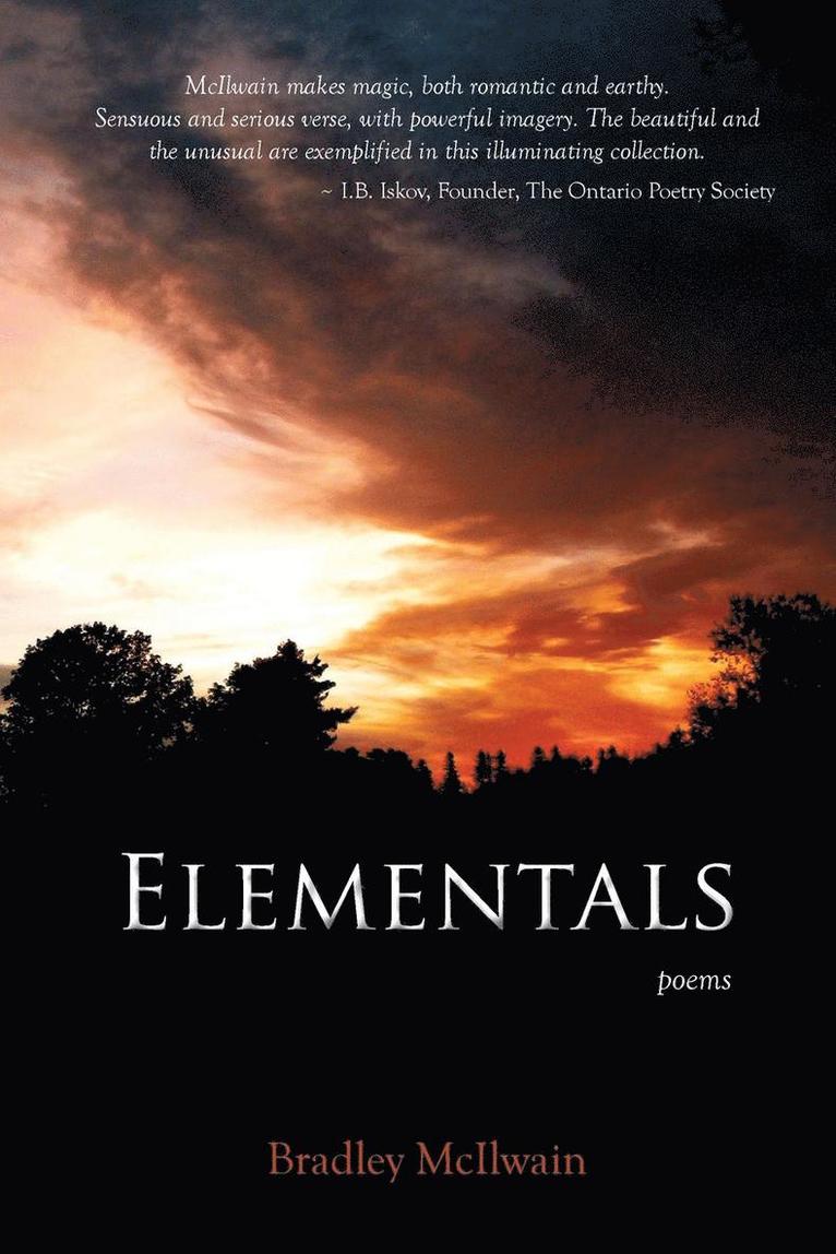 Bradley McIlwain - Elementals, Häftad