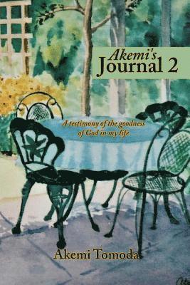 Akemi's Journal 2