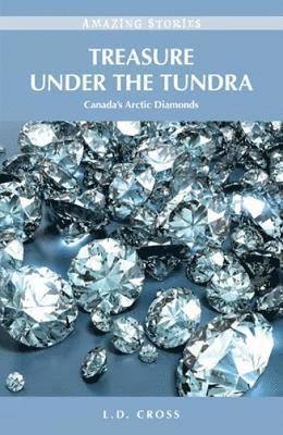 Treasure Under the Tundra 1