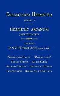 bokomslag Hermetic Arcanum