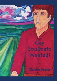 bokomslag Gay Soulmate Wanted!