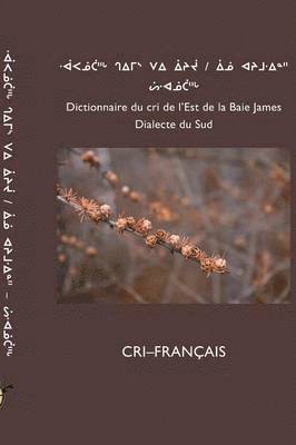 bokomslag Dictionnaire Du Cri de L'Est (Sud)