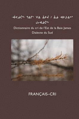 bokomslag Dictionnaire Du Cri de L'Est (Sud)