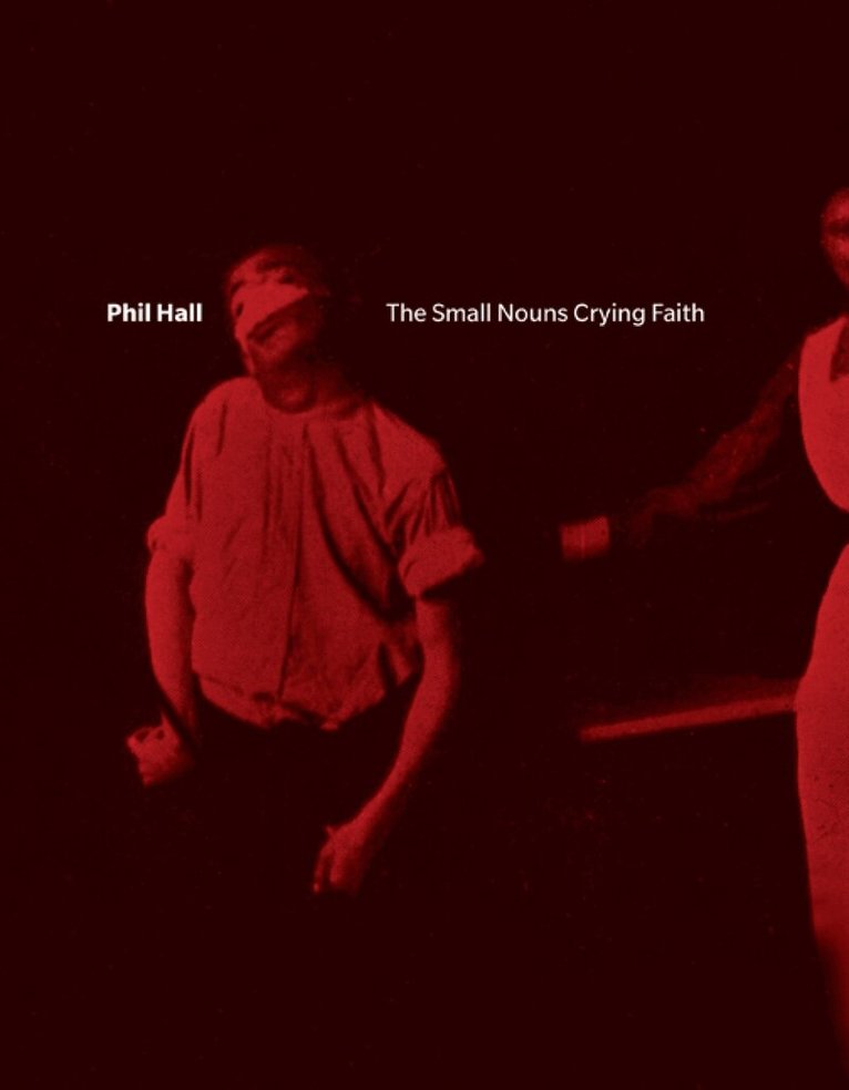 Phil Hall - Small Nouns Crying Faith, Häftad