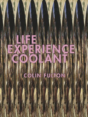 bokomslag Life Experience Coolant