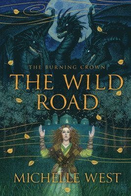 bokomslag The Wild Road