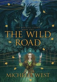 bokomslag The Wild Road