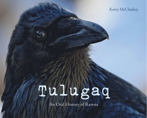 Tulugaq 1