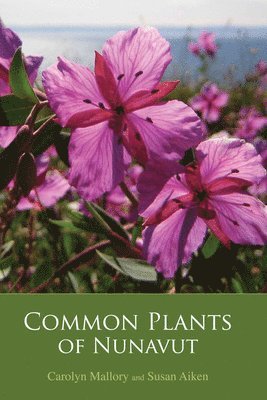 Common Plants of Nunavut