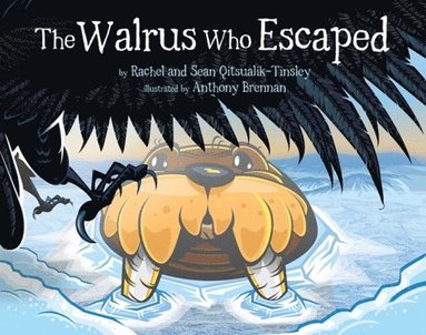 bokomslag The Walrus Who Escaped