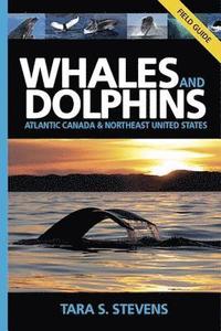 bokomslag Whales & Dolphins of Atlantic Canada & Northeast United States