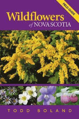 Todd Boland - Wildflowers of Nova Scotia, Häftad