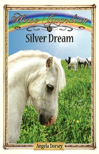 bokomslag Silver Dream
