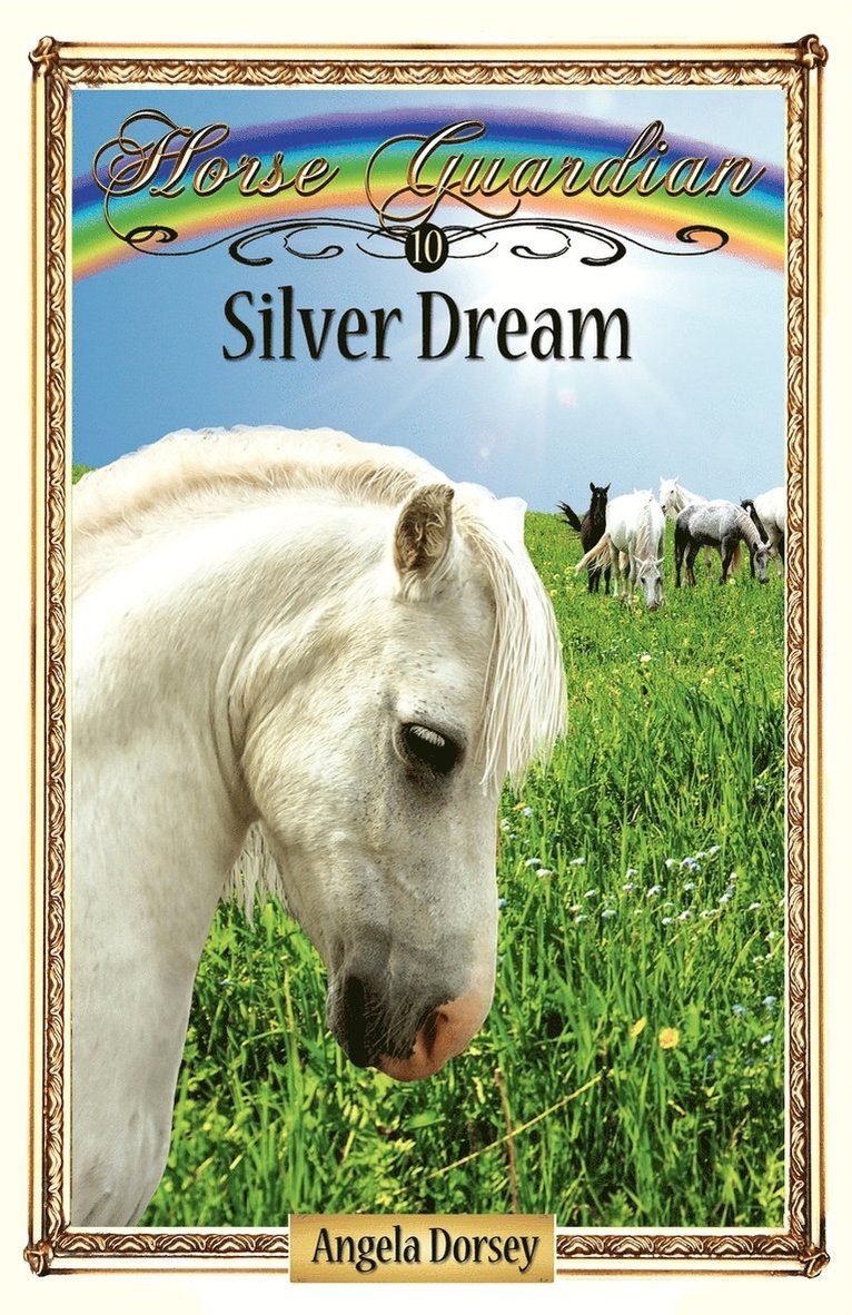 Angela Dorsey - Silver Dream, Häftad