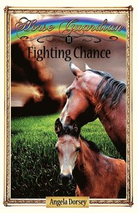 bokomslag Fighting Chance: Sometimes Horses Need a Little Magic