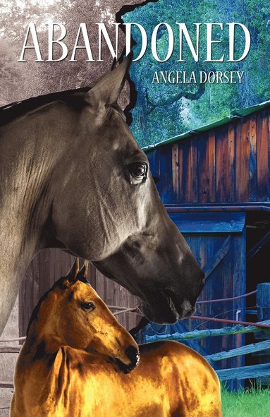 bokomslag Abandoned: A Time Travel Horse Adventure