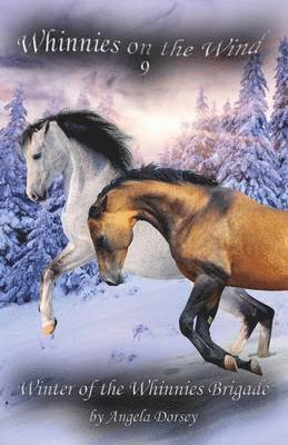Angela Dorsey - Winter of the Whinnies Brigade, Häftad