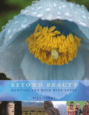 Beyond Beauty 1