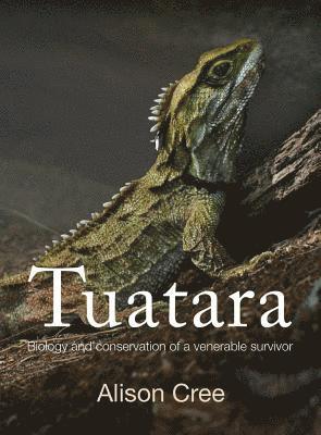 bokomslag Tuatara