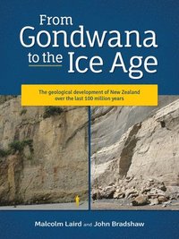 bokomslag From Gondwana to the Ice Age